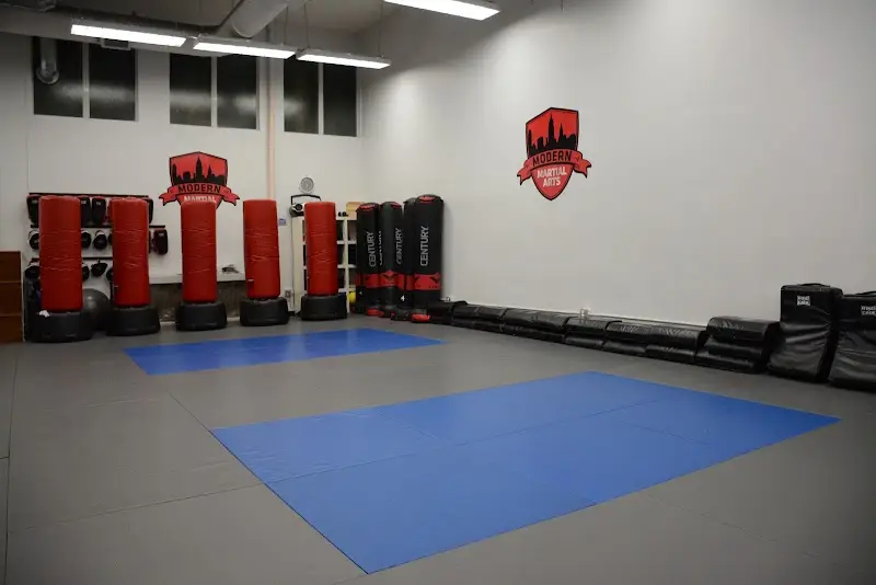 Modern Martial Arts Tribeca BJJ Academy - photo 2