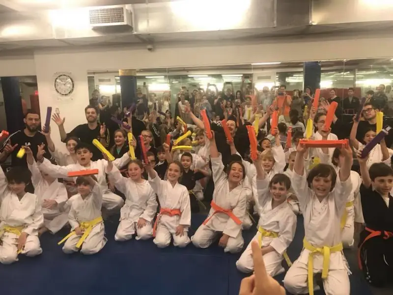 Modern Martial Arts - Upper East Side BJJ Academy - photo 2