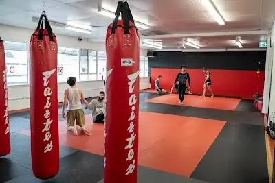 Modern Warrior Combat and Fitness BJJ Academy - photo 1