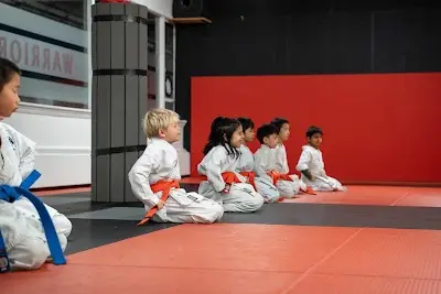 Modern Warrior Combat and Fitness BJJ Academy - photo 2