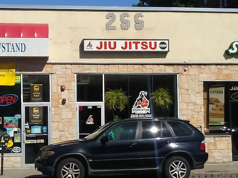 Momentum Brazilian Jiu-Jitsu BJJ Academy - photo 2