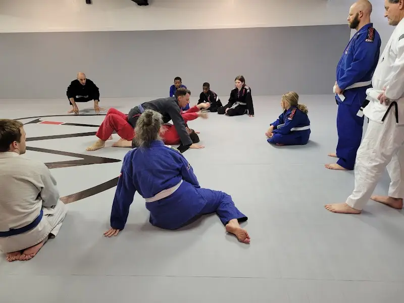 Momentum Martial Arts BJJ Academy - photo 1