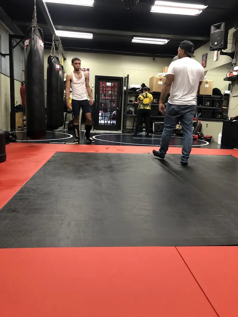 Mongoose Training Academy