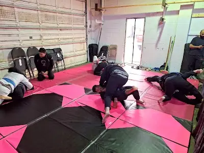 Monkey Flip Jiu-Jitsu