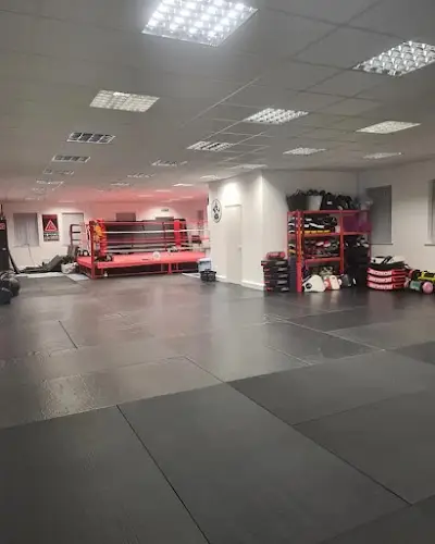 Monkey Muay Thai BJJ Academy - photo 3