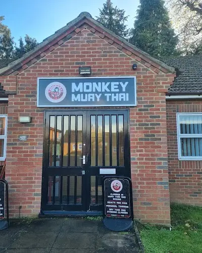 Monkey Muay Thai BJJ Academy - photo 4