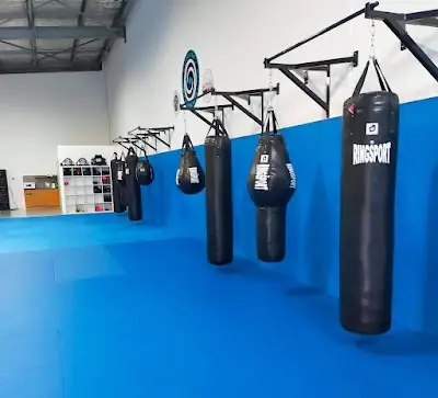 Monster MMA BJJ Academy - photo 2