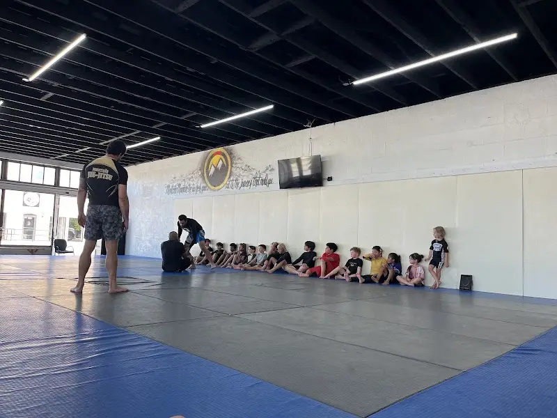 Montaña Fighting Systems
