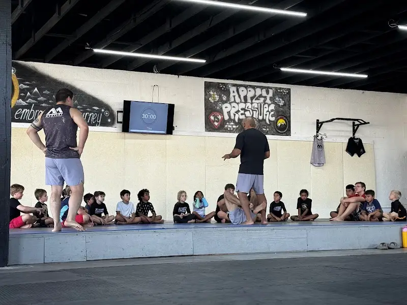 Montaña Fighting Systems BJJ Academy - photo 2