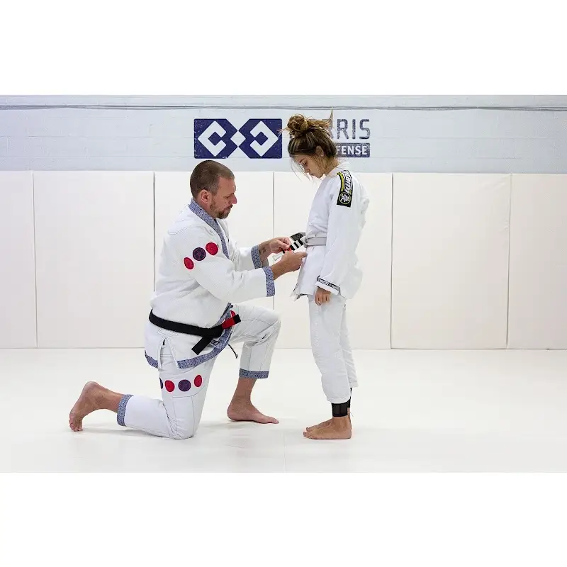 Morris Self Defense - Martial Arts - Jiu-Jitsu - Knoxville BJJ Academy - photo 1