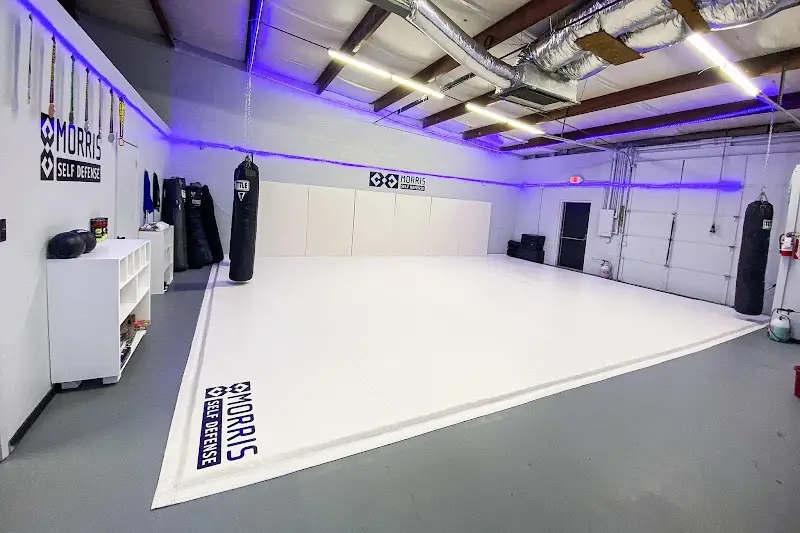 Morris Self Defense - Martial Arts - Jiu-Jitsu - Knoxville BJJ Academy - photo 2