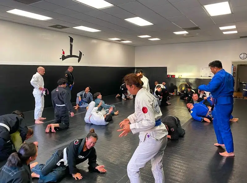 Mountain Brazilian Jiu Jitsu BJJ Academy - photo 2