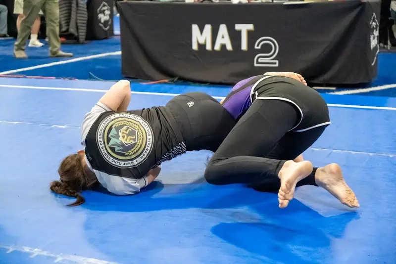 Mountain Rollers Jiu-Jitsu BJJ Academy - photo 2