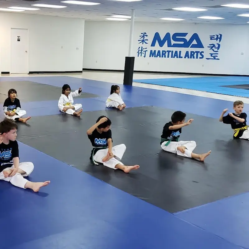 MSA Martial Arts BJJ Academy - photo 1