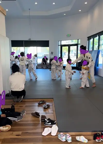 Mt. Diablo Jiu Jitsu BJJ Academy - photo 3