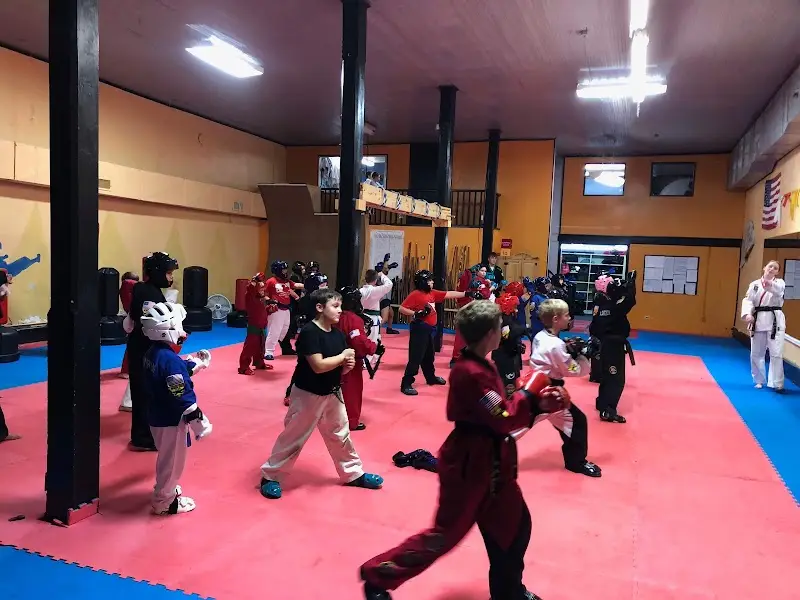 Mt. Pleasant Martial Arts BJJ Academy - photo 2
