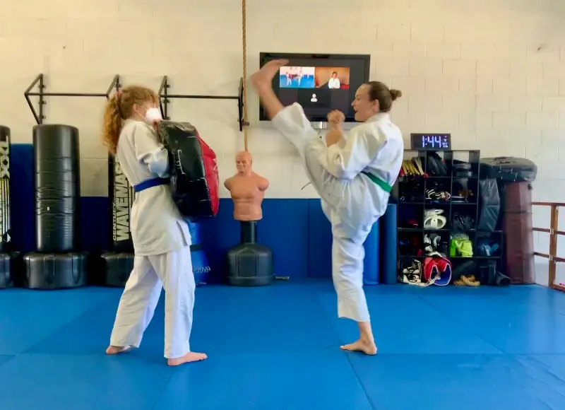 MuDo Integrated Martial Art BJJ Academy - photo 2
