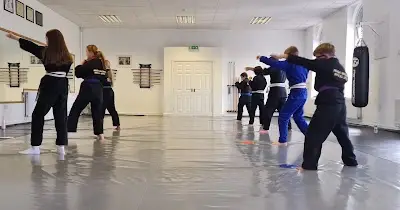Muga Mushin Ryu JuJitsu