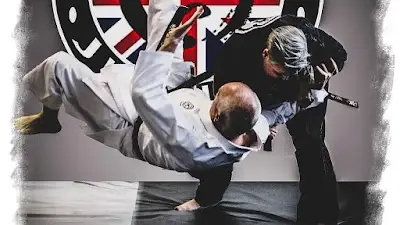 Muga Mushin Ryu JuJitsu BJJ Academy - photo 1
