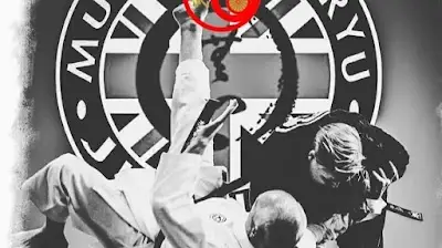 Muga Mushin Ryu JuJitsu BJJ Academy - photo 2