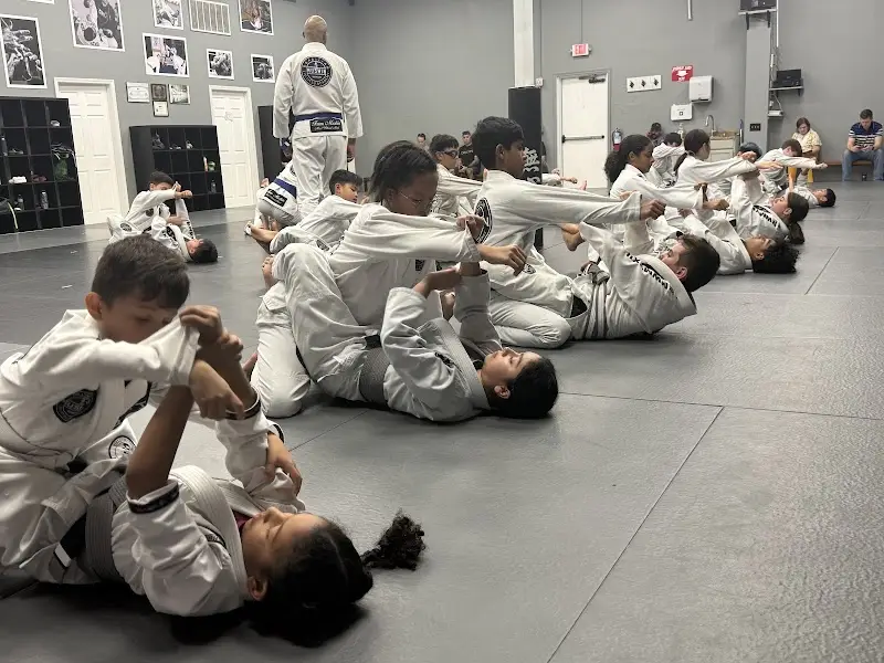 Mushin Brazilian Jiu Jitsu Academy LLC BJJ Academy - photo 2