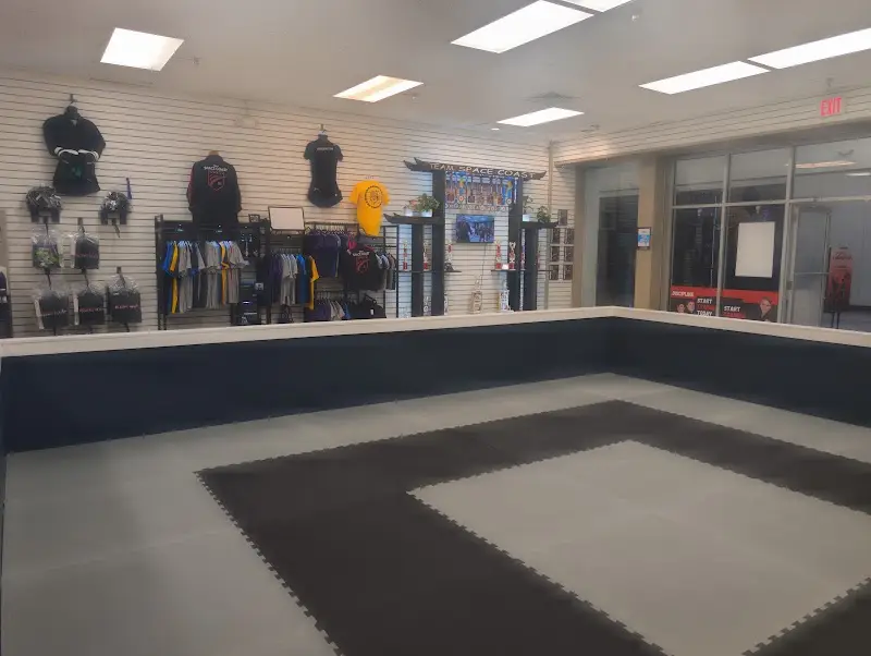 My Island Martial Arts Inc BJJ Academy - photo 1