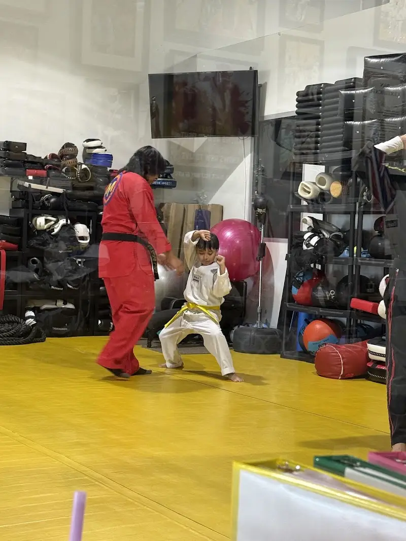My Martial Arts BJJ Academy - photo 2