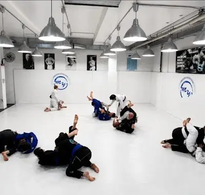 myBrazilian Jiu-Jitsu Team BJJ Academy - photo 2