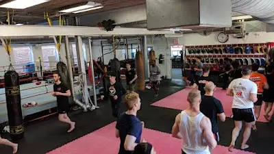 N1 Thai Boxing Academy BJJ Academy - photo 2