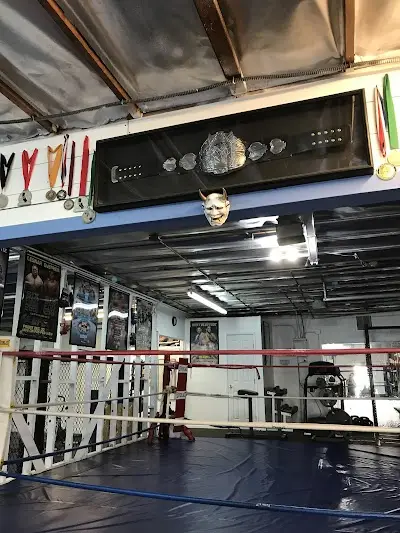Nam Phan MMA Academy BJJ Academy - photo 1