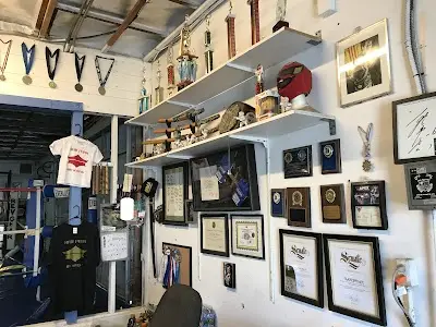 Nam Phan MMA Academy BJJ Academy - photo 2