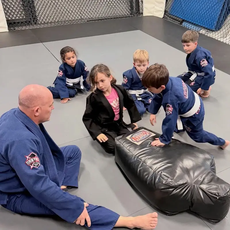 Narvaez Brazilian Jiu Jitsu BJJ Academy - photo 2