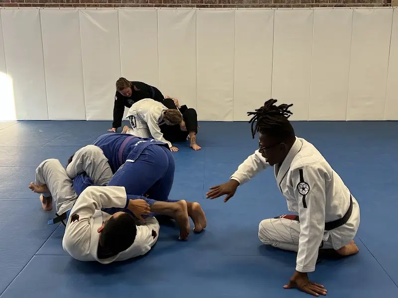 Nature Jiu Jitsu BJJ Academy - photo 2