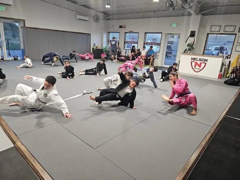 Nelson Jiu Jitsu BJJ Academy - photo 2