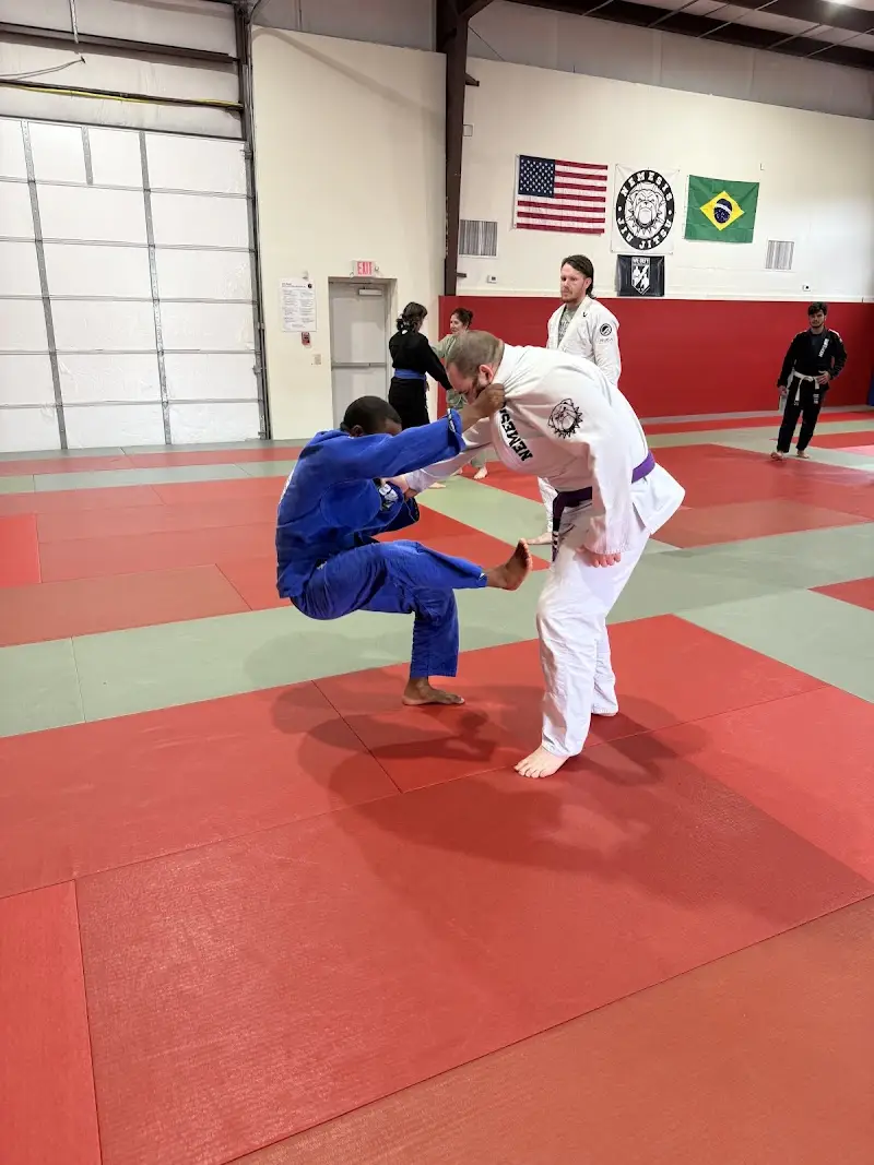 Nemesis Jiu Jitsu BJJ Academy - photo 1