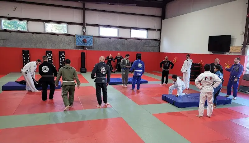 Nemesis Jiu Jitsu BJJ Academy - photo 2
