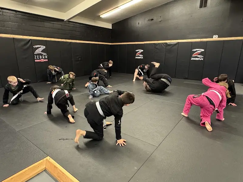 Nemesis Jiu Jitsu BJJ Academy - photo 1