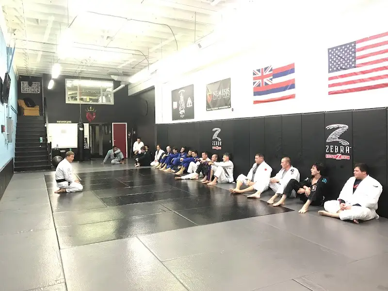 Nemesis Jiu Jitsu BJJ Academy - photo 2