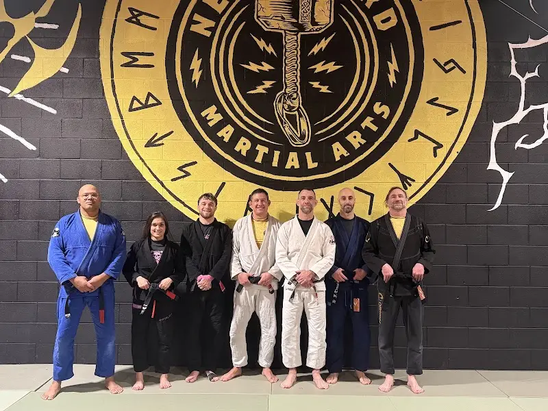 New Asgard Martial Arts BJJ Academy - photo 1