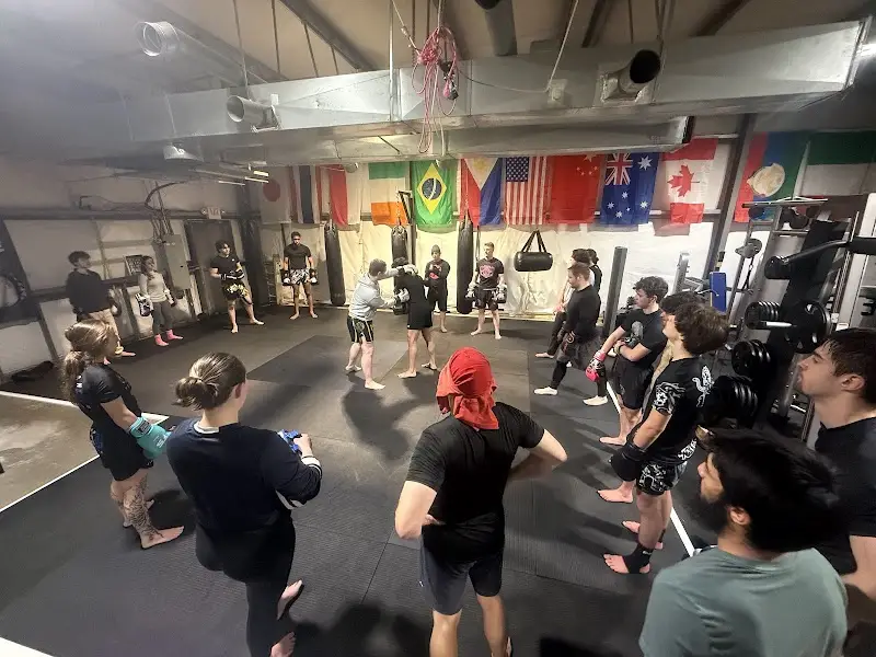 New Asgard Martial Arts BJJ Academy - photo 2