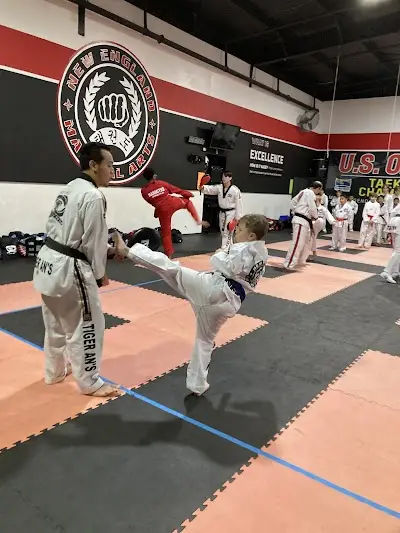 New England Martial Arts Athletic Center BJJ Academy - photo 3