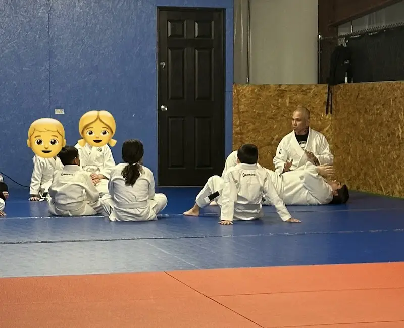 New Life Brazilian Jiu Jitsu Academy BJJ Academy - photo 2