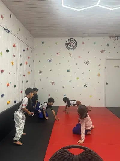 New Move Brazilian Jiu Jitsu Academy BJJ Academy - photo 3