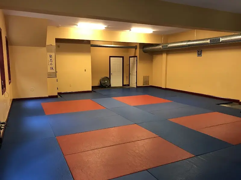 New World Academy BJJ Academy - photo 1