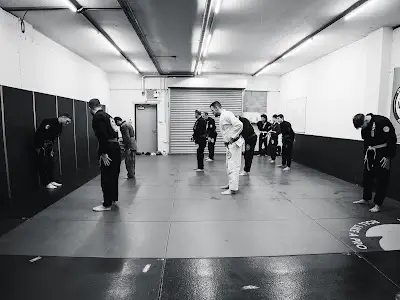 Next Level Brazilian Jiu-Jitsu BJJ Academy - photo 3