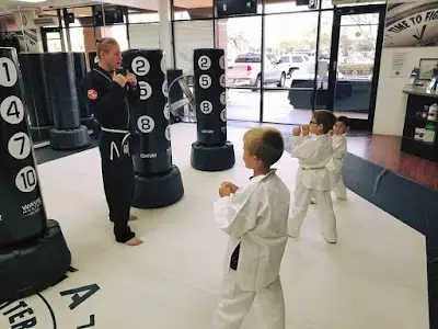 Next Level Krav Maga Gilbert, Kickboxing, Taekwondo, Kids Karate, Brazilian Jiu-Jitsu, Self Defense