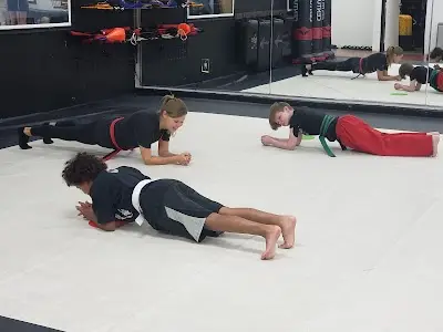 Next Level Krav Maga Gilbert, Kickboxing, Taekwondo, Kids Karate, Brazilian Jiu-Jitsu, Self Defense BJJ Academy - photo 4