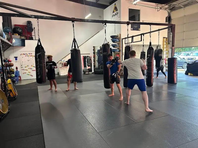 Next Level Martial Arts & Fitness BJJ Academy - photo 1