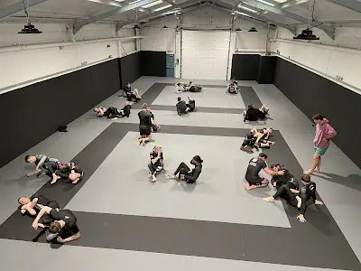 Nexus BJJ BJJ Academy - photo 3