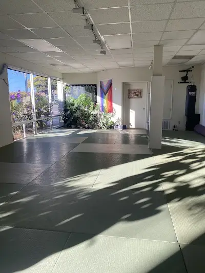 Niji Dojo BJJ Academy - photo 3